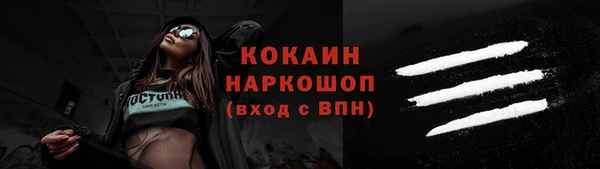 прущие грибы Аркадак