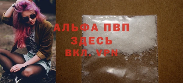прущие грибы Аркадак