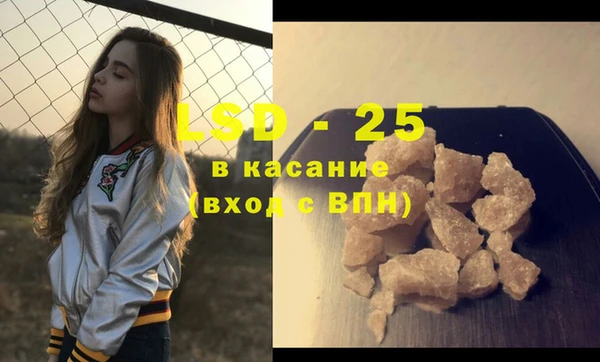 прущие грибы Аркадак