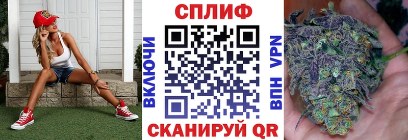 где найти   Новоалтайск  Бошки Шишки гибрид 